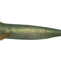 Señuelo Calamar luminoso con anzuelo brillante y cuentas chirriantes