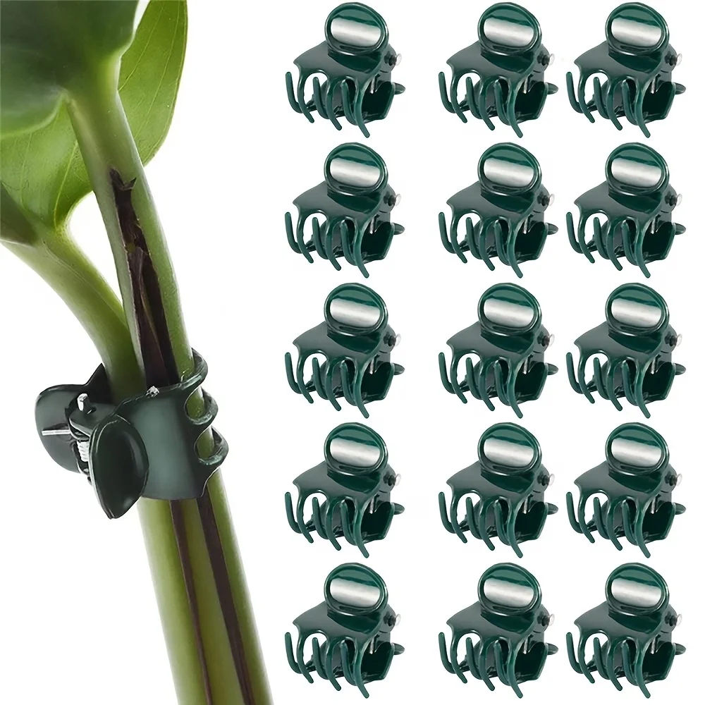 20/30/50PCS 6-Claw Plant Clips Climbing Vine Stem Clasp Tied Dark Green Orchid Flowers Support Clamp Bundle Branch Garden Tools
