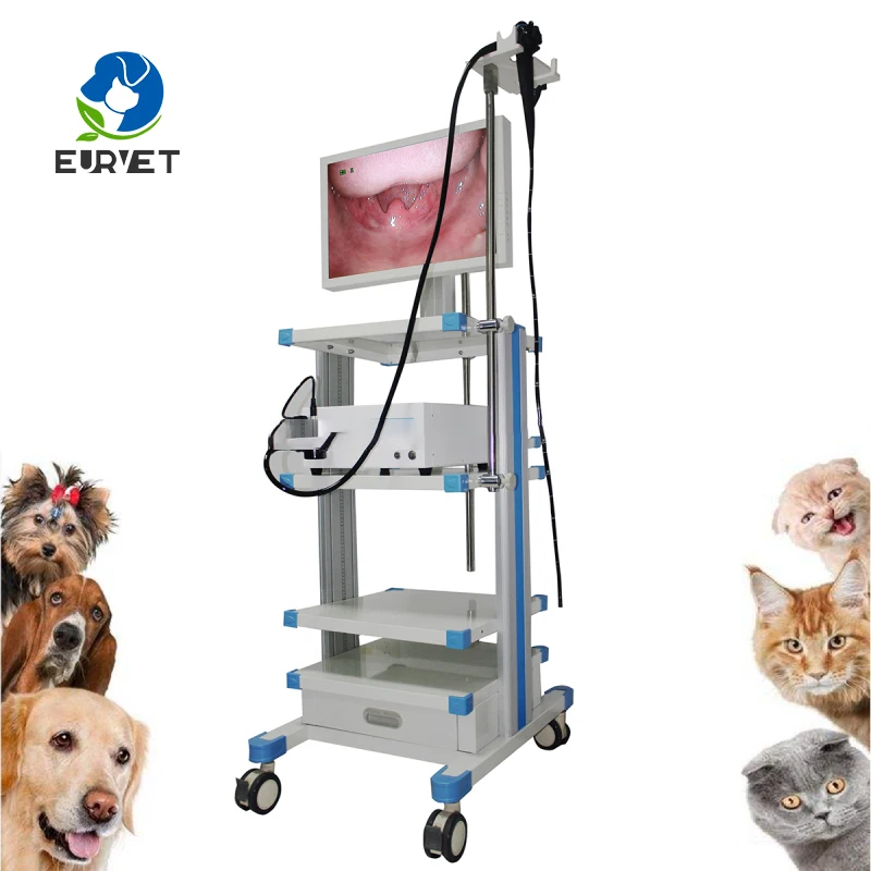 EUR VET Favorable Endoscope High Definition Imaging Veterinary Equipment Skillful Manufacture Flexible Endoscope