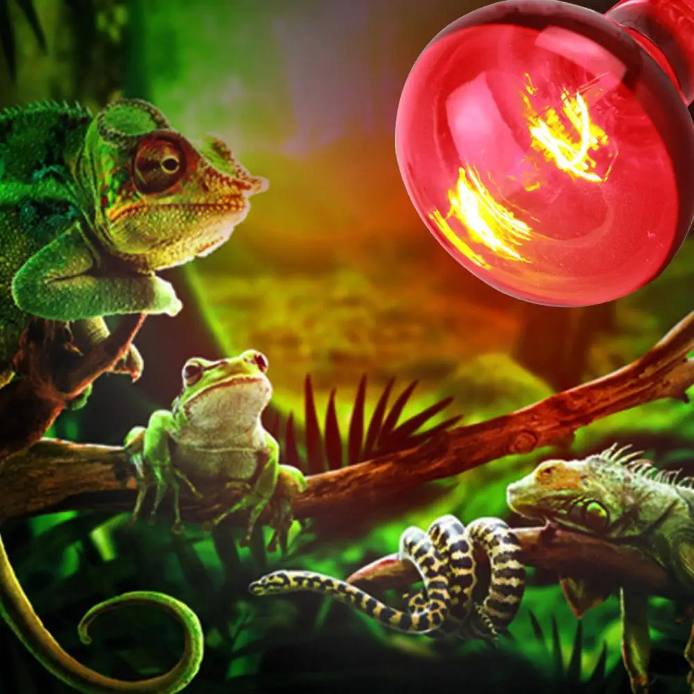220-240V E27 Poultry Heating Bulb 100/75/60W Infrared Insulation Heating for Reptiles Plants Amphibians Pets Livestock