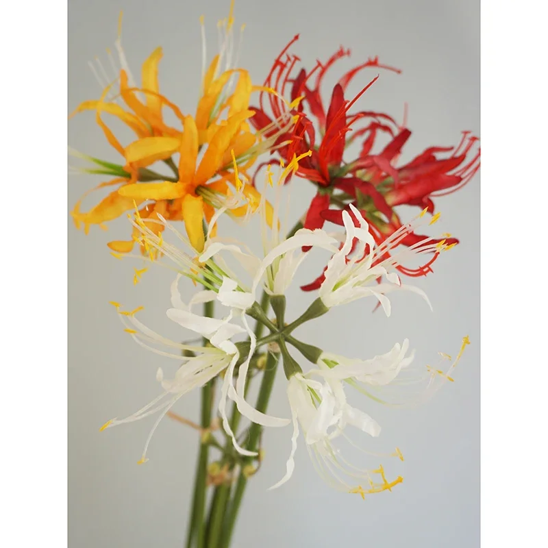 Aqumotic Artificial Red Spider Lily Bulbs 60cm 5pcs Lycorisradiata  Majusaka Decorative Vase Red Spider Lilies Flowers - AliExpress 15