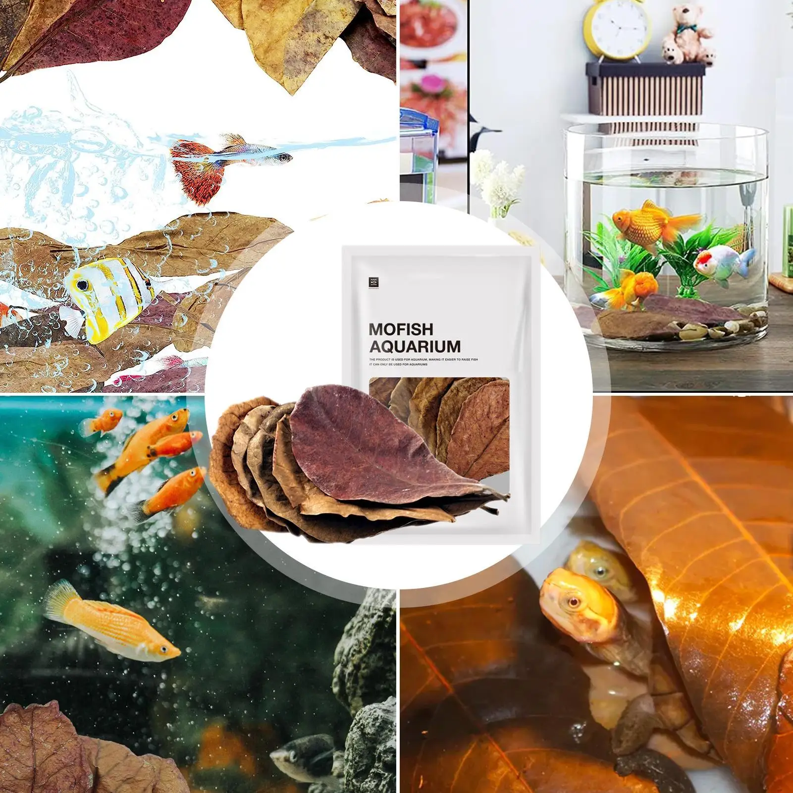 Catappa الهندي اللوز ترك بيتا الروبيان يترك محطة طبيعية فوتيدا يترك خزان الأسماك أوراق تنظيف المياه #6