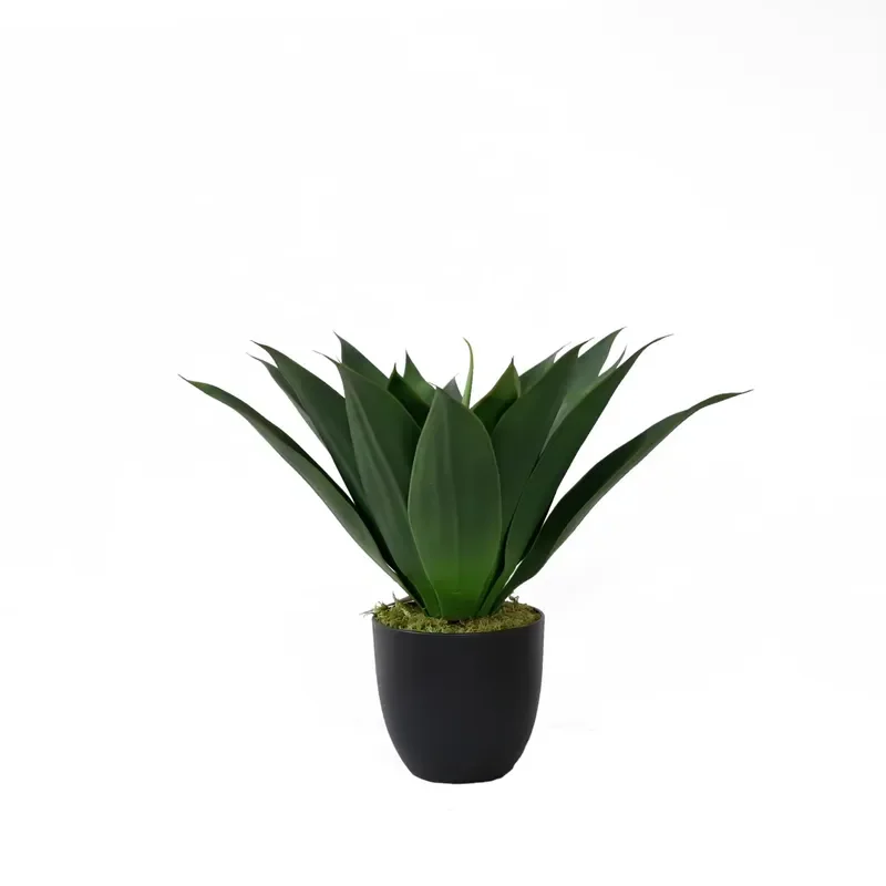 Artificial Potted Aloe Vera Plant Bonsai for Konda Barbadensis Miller Plastic Green Indoor Plant with Bonsai Pot