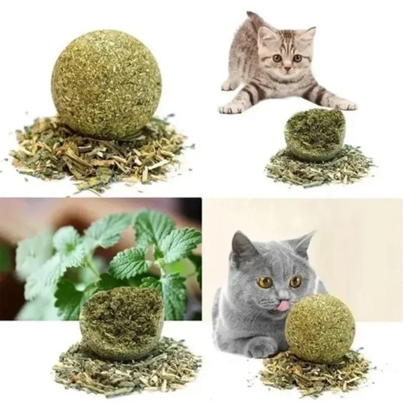 10 Pcs 15mm Healthy Natural Mint Ball Catnip Ball Playing Toy Molars Supplies Pet Snacks Cat Supplies