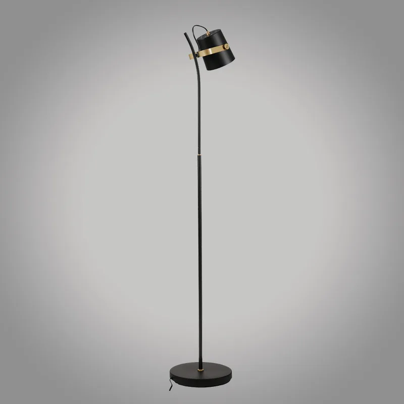 Minimally Study Floor lamp Living room Home Interior Decoration Floor lamps fixtures Iron led lights Bedroom bedside lamp