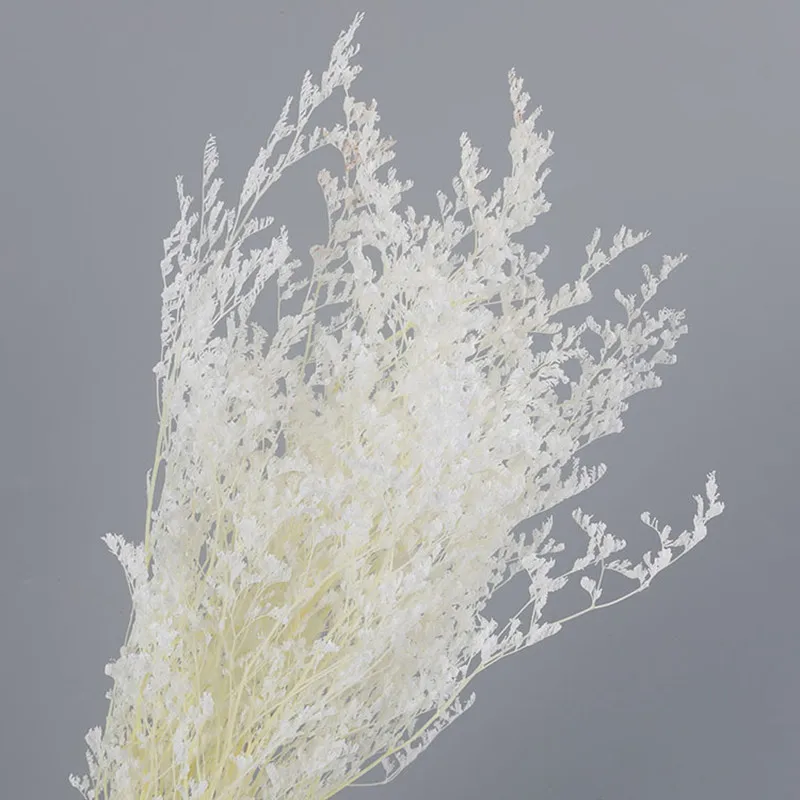 White Dried Flowers Love’s Grass High Quality Natural Bouquet Home Decorations In Various Colors Planting Factory Direct Sales