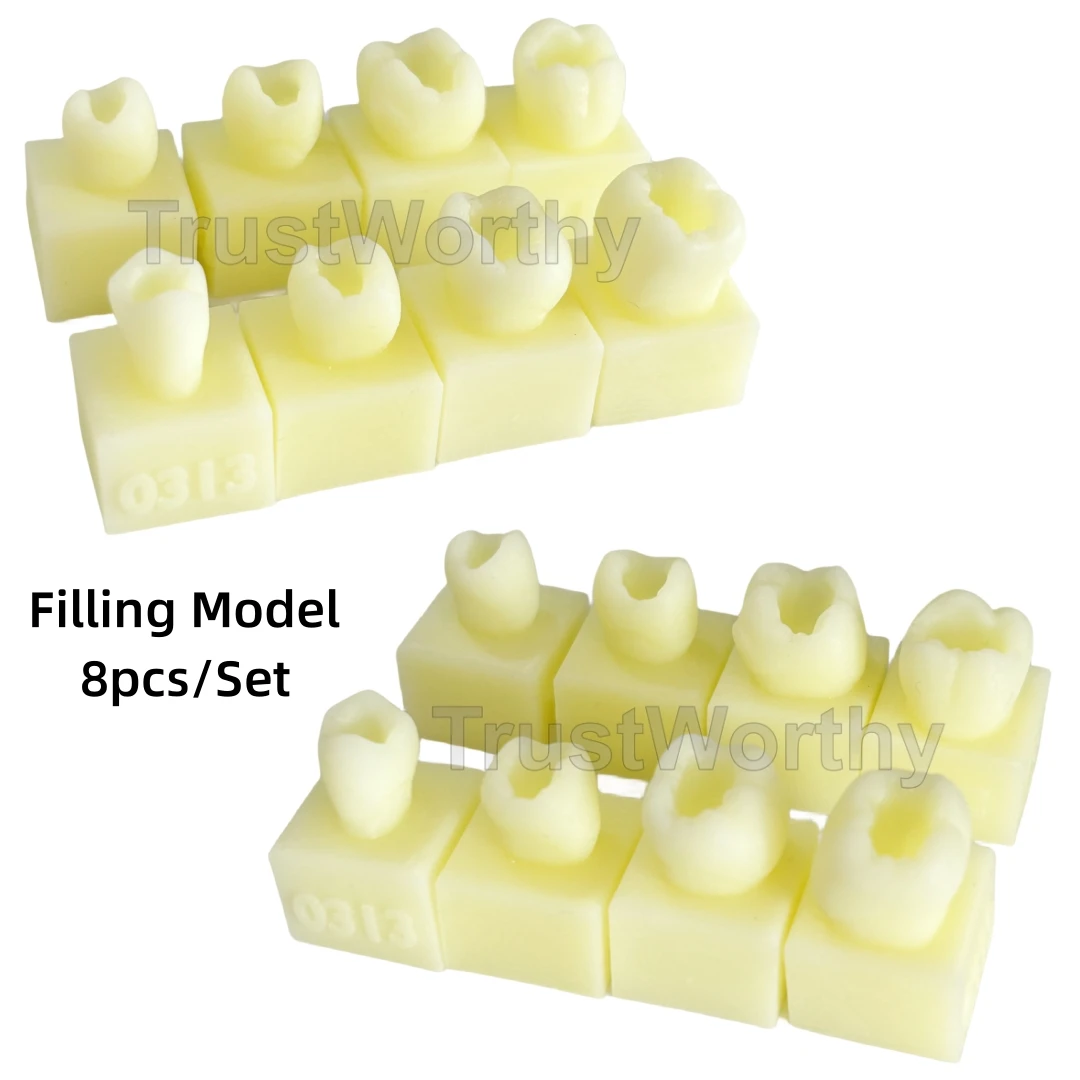 

8pcs/Set Dental Composite Resin Dentist Student Test Model Practise Teeth Filling School