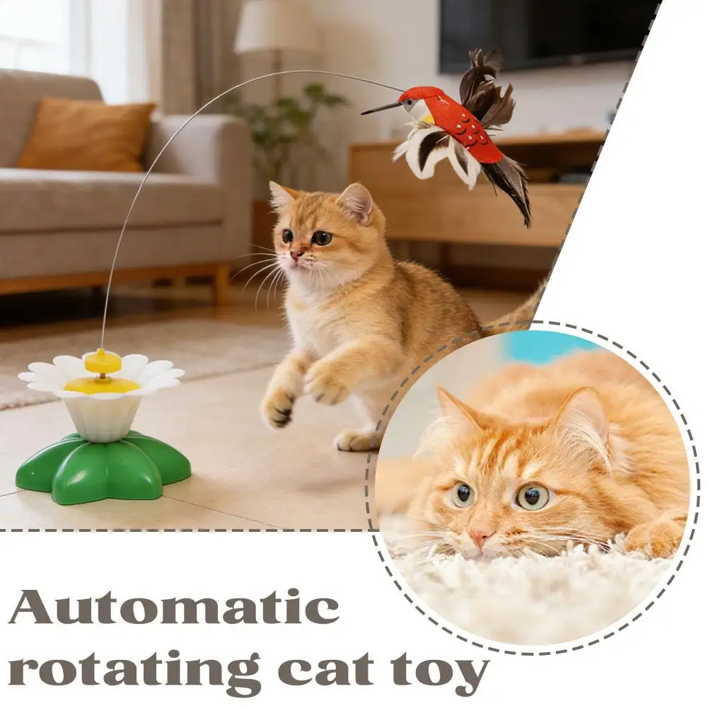 #3 New Cat Wand Toys Arrivals