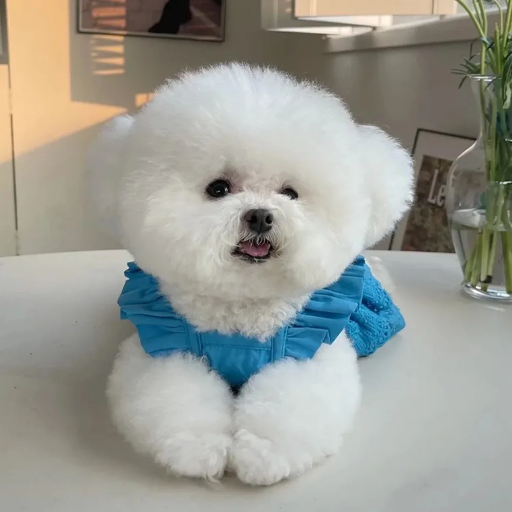 Pet Clothing Spring and Summer New Fly Sleeved Lace Dress Teddy Bear Dog Cat Thin Traction Clothing Dog Clothes for Small Dogs