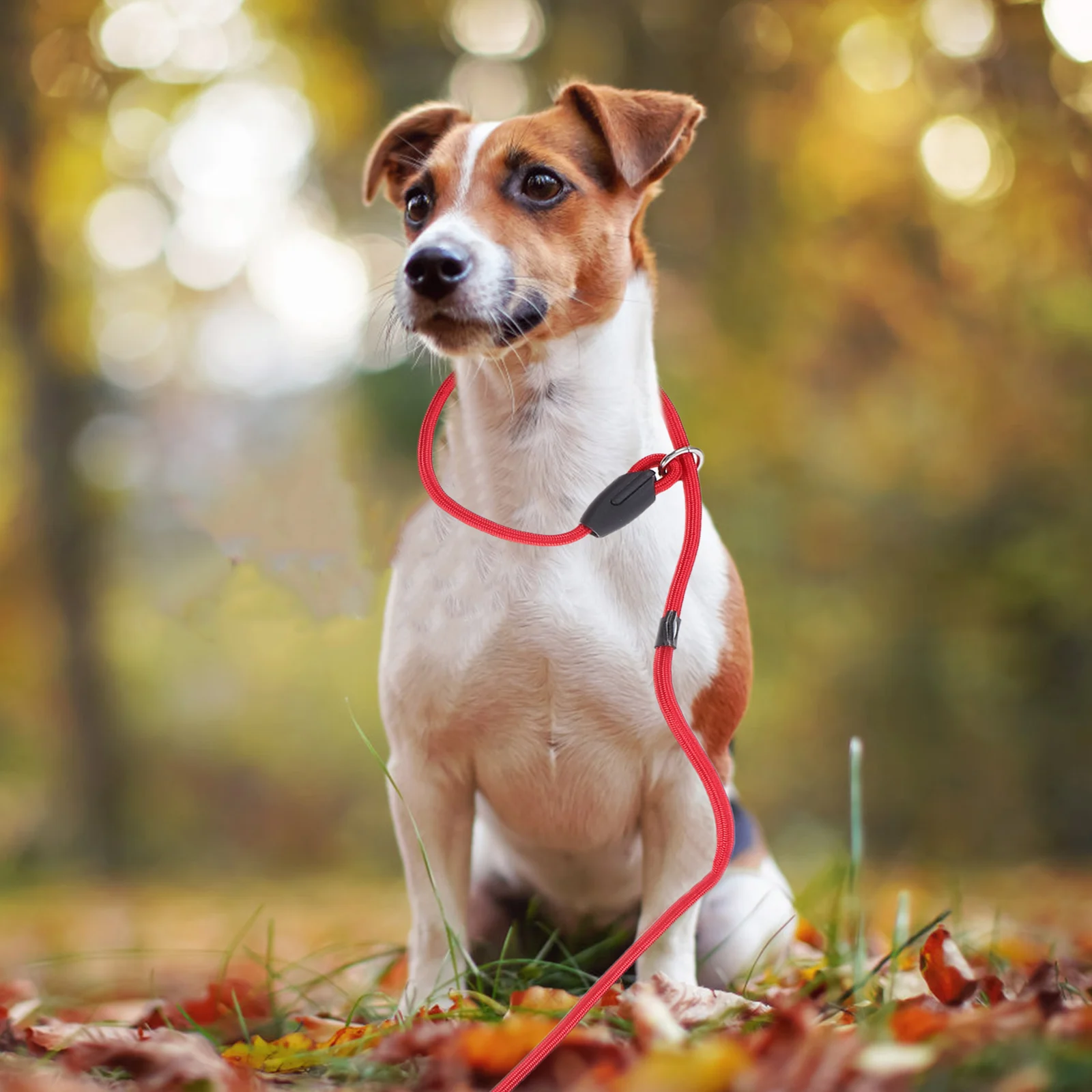 

Reflective Nylon Dog Leash Heavy Duty Durable Walking Lead For Large Medium Dogs Light Weight Weather Proof For Daily Jogging