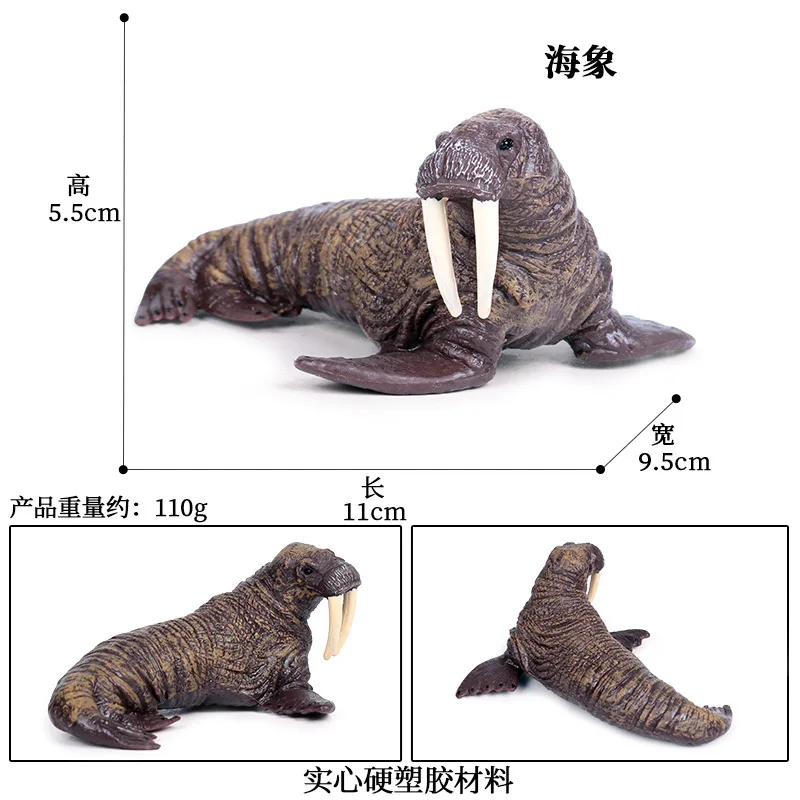 41 نوعًا من حيوانات المحيط القطبي عمل الشكل البطريق الفظ خروف البحر الأسد ختم قضاعة سمور البحرية نموذج PVC لعبة تعليمية للأطفال