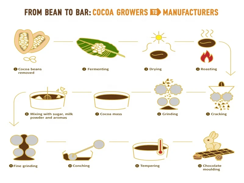 2025 lst feijão para colar amendoim feijão de cacau rachando winnow ma chine venda quente doméstico pequena capacidade