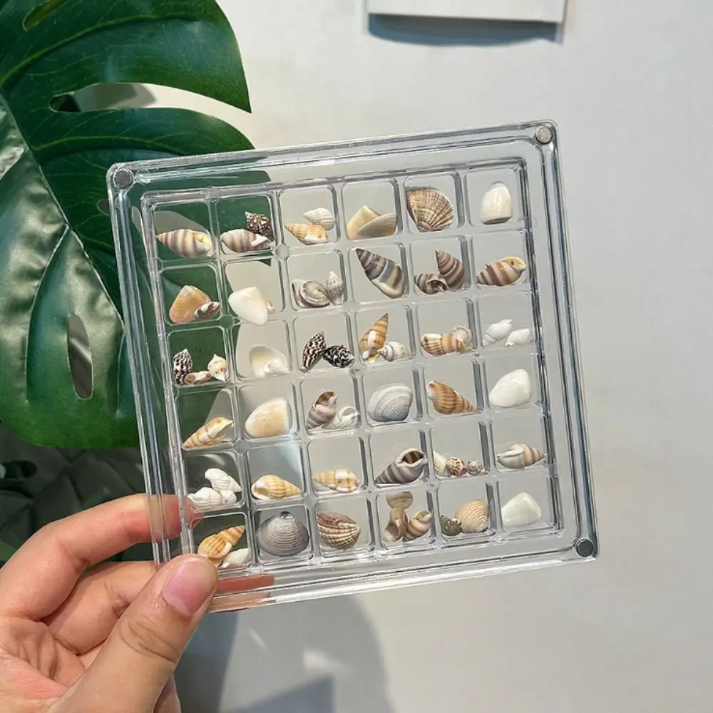 

Acrylic Magnetic Seashell Display Box Stackable 36 Grids Seashell Storage Box Multifunctional Clear Beads Collection Box Nail
