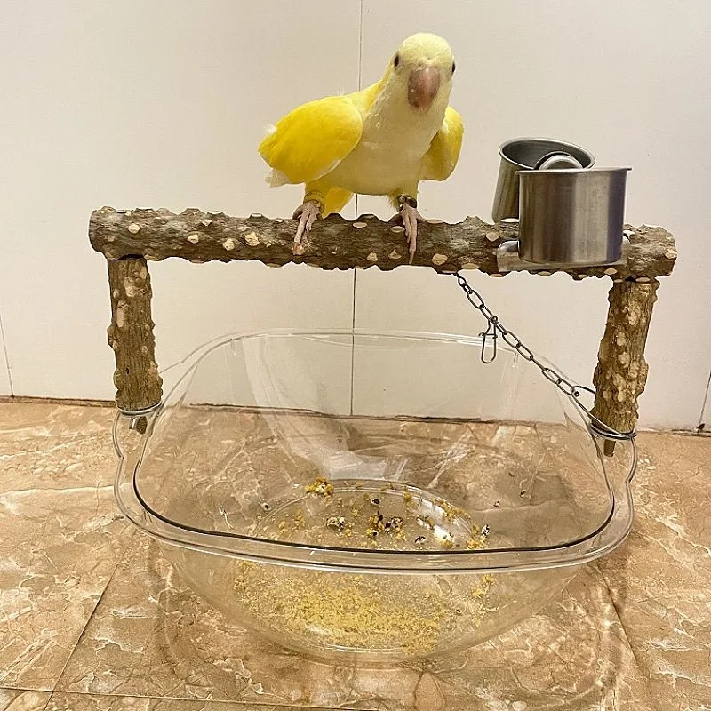 Parrot fixed-point defecation stand with trash bin, suitable for cockatiels and sun conures, for potty training, hand-feeding cu
