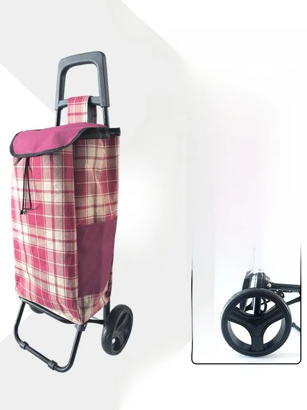 carrello-della-spesa-leggero-e-portatile-carrello-per-la-spesa-di-verdure-a-trazione-manuale-per-anziani-carrello-pieghevole-in-acciaio-al-carbonio