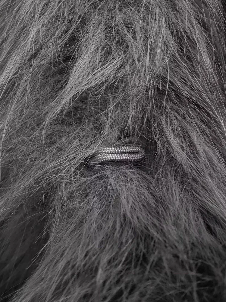 DiYiG  Women 2024 Autumn and Winter New Fashion Lazy Wind Short Faux Fur Jacket Coat Joker Long Sleeve Top Outerwear Mujer