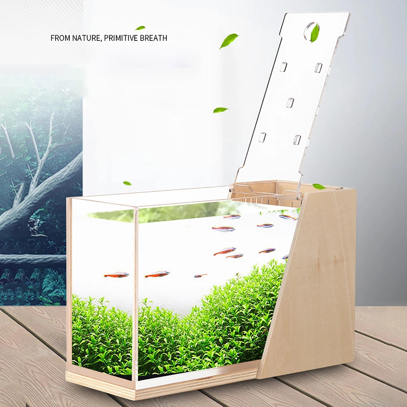 Wood Color Acrylic Fish Tank Desktop Fish Tank Small Creative Office Aquarium Micro Fish Tank with Side Filter and Water Pump