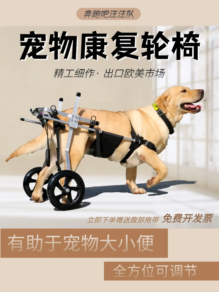 

Large Dog Wheelchair for Hind Limb Rehabilitation Training Aid for Paralysis and Spondylitis Mobility Assistance