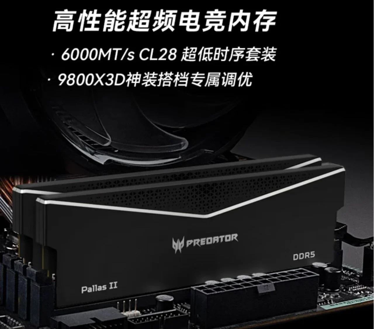Predator Lingshuang Serie 6000 GHz 32 GB Timing CL28 Schwarz