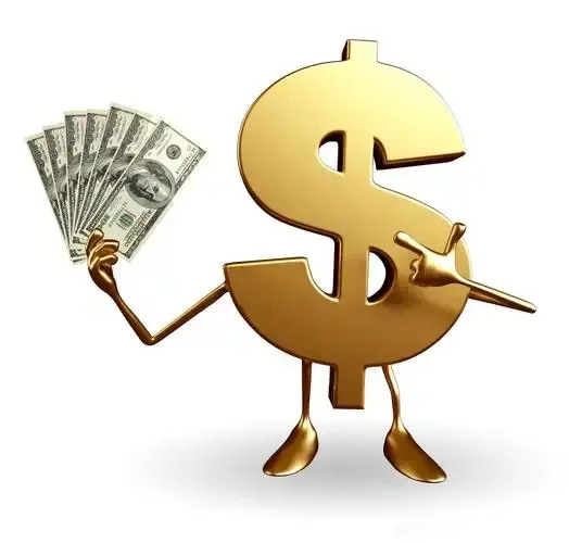 

The Payment Link for Extra Shipping Costs