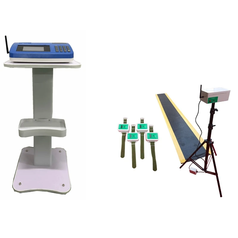 10-Person medium and long-distance running tester Carpet type medium and long-distance running testing instrument