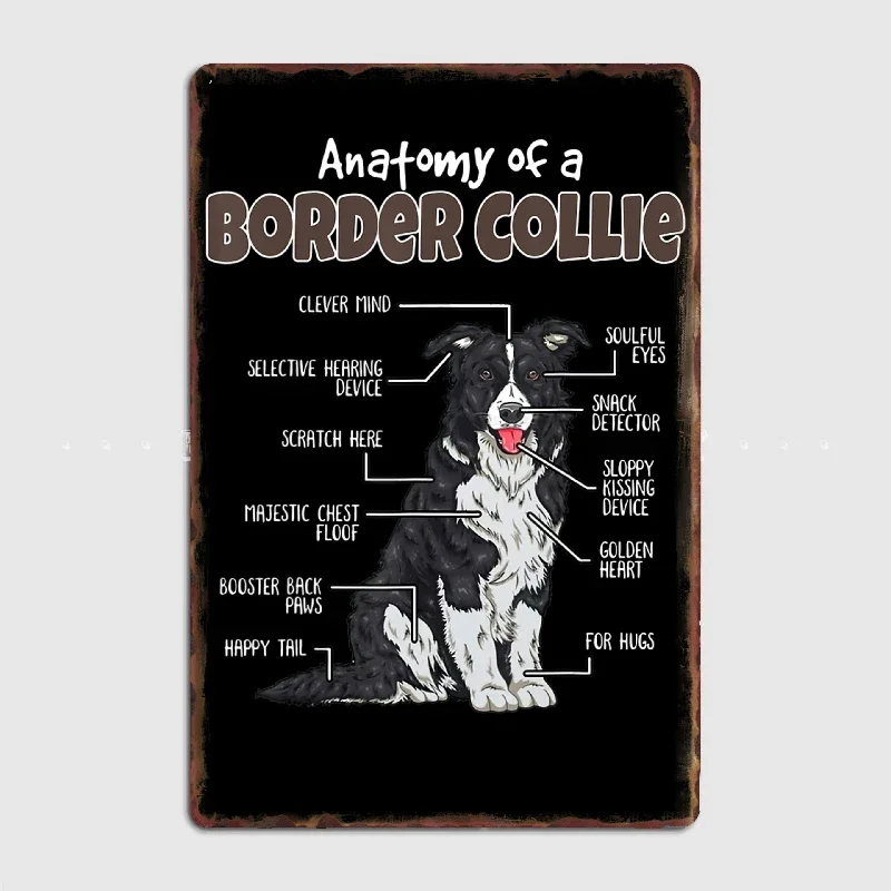 

Anatomy Of A Border Collie Papa Loves DogsMetal Poster Garage Decoration Living Room Cinema Living Room Custom Tin Sign Poster