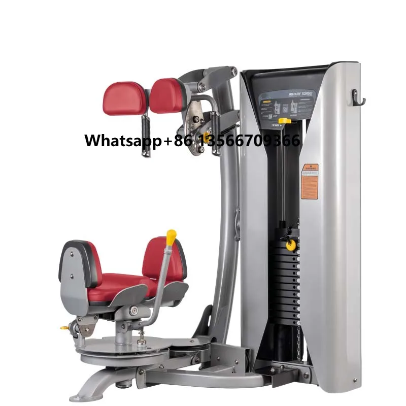 Commercial Comprehensive Fitness Equipment Multifunctional Trainer Bodybuilding Gym Equipment Gym Rotary Torso Machine for Sale