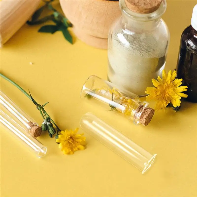 5pcs Glass Test Tube Propagation Stations Glass Propagation Hydroponics Vase Plant Terrarium Bottles Container Flower Holder