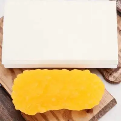 

1lb Realistic Body Fat for Anatomy Science Education Demonstration Device Fat Awareness Fitness Aid Learning Tool