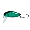 JINGLING 01