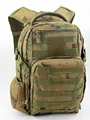 Green Ruins Camo