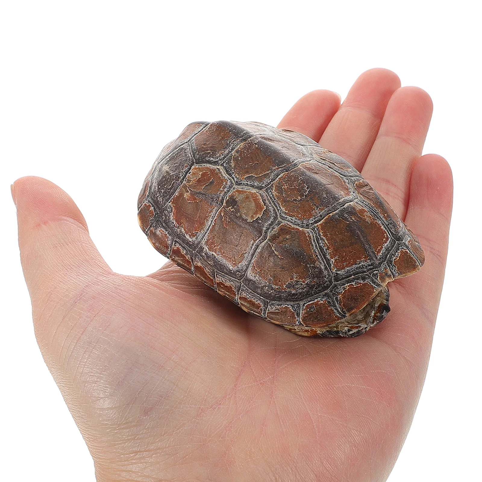 

1 Set Retro Turtle Shell Cultural Handpiece For Divination, Living Room Decor Aesthetic, Metal Shell Craft, Desktop Ornament,