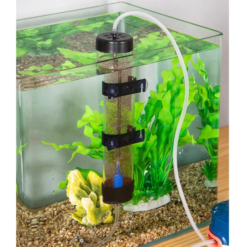 Shrimp Eggs Incubator Artemia Hatchery  DIY Hatching Tool Accessories