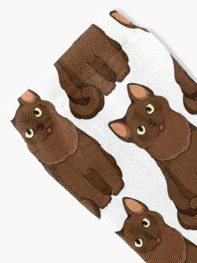 Burmese brown cat Socks Novelties cool Christmas aesthetic Women Socks Men's