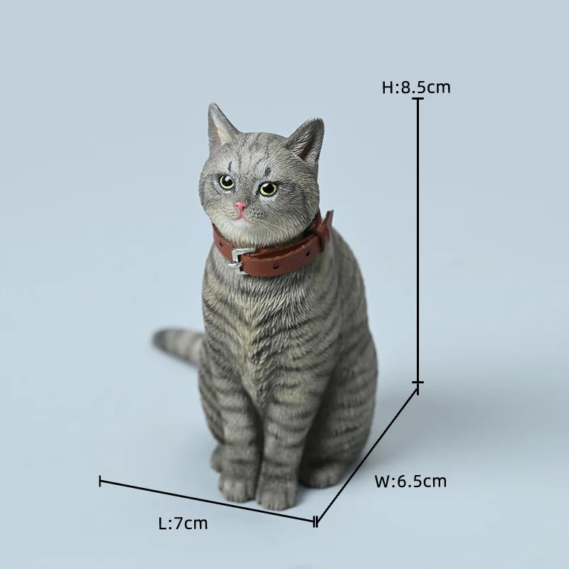 Unique Realistic Chinese Native Cat Resin Statue, Luxury Home Decor Ornament For Living Room Desk, Premium Gift For Cat Lovers