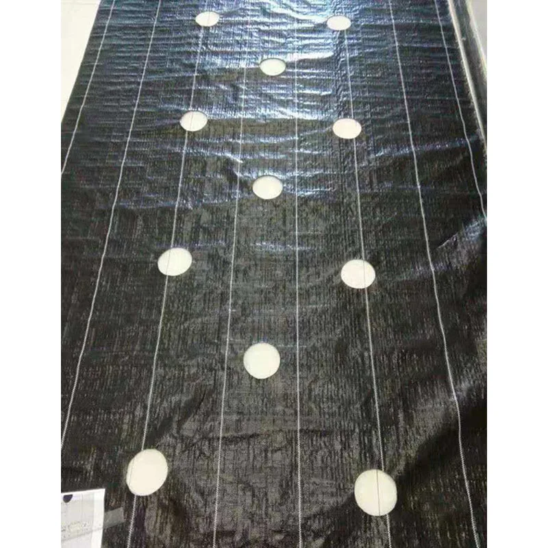 

2025PP PE Ground Cover Mesh Weed Mat Roll Anti Grass Weed Control Cloth