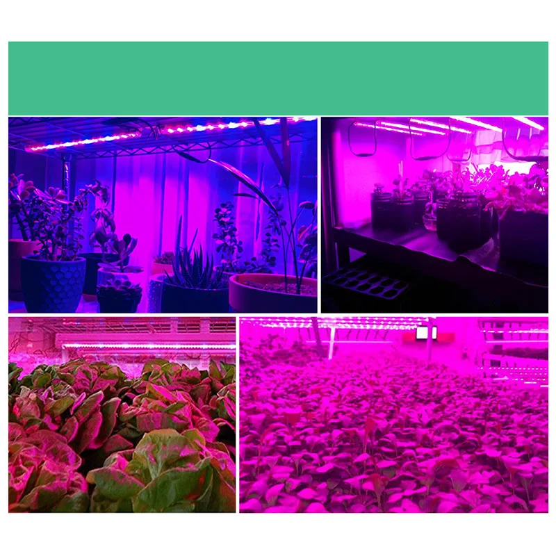 Lumière de croissance des plantes AS63-LED avec lumière de croissance des plantes étanche USB, lumière de croissance des plantes hydroponiques