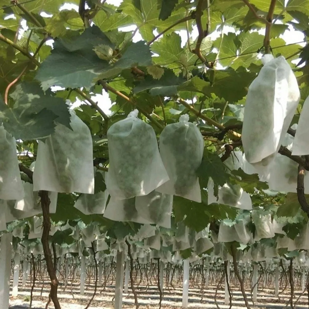 100Pcs Non-woven Fruit Protection Bags Anti-bird Breathable Nursery Bags Anti-sun Corrosion-resistant Plant Grow Bags view 5
