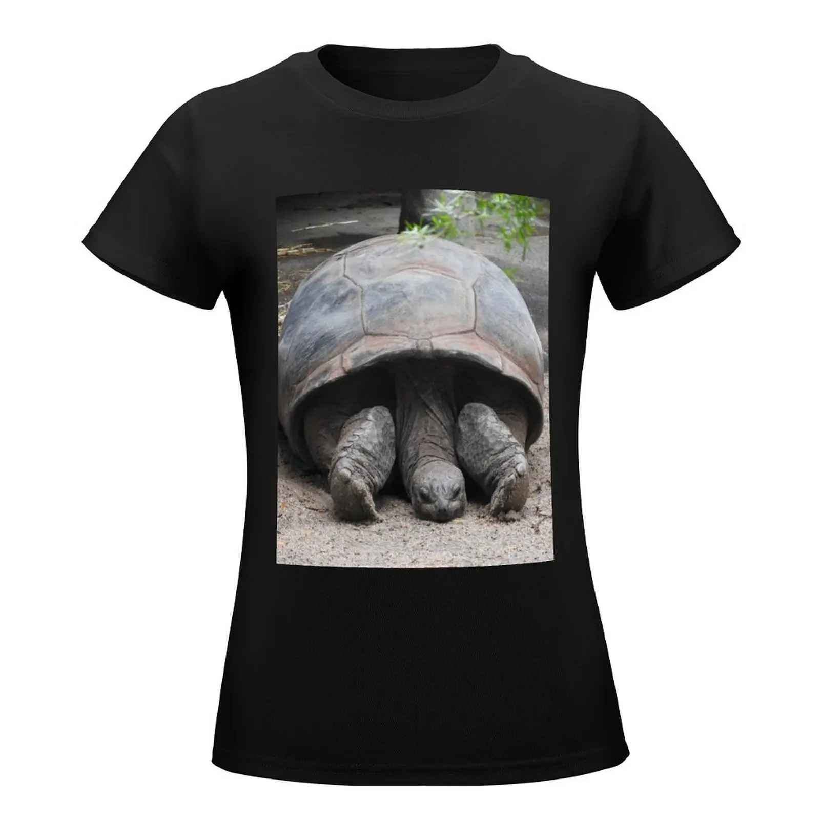 Finally time to to relax! T-Shirt Short sleeve tee plus size tops animal print shirt for girls t-shirts for Women cotton