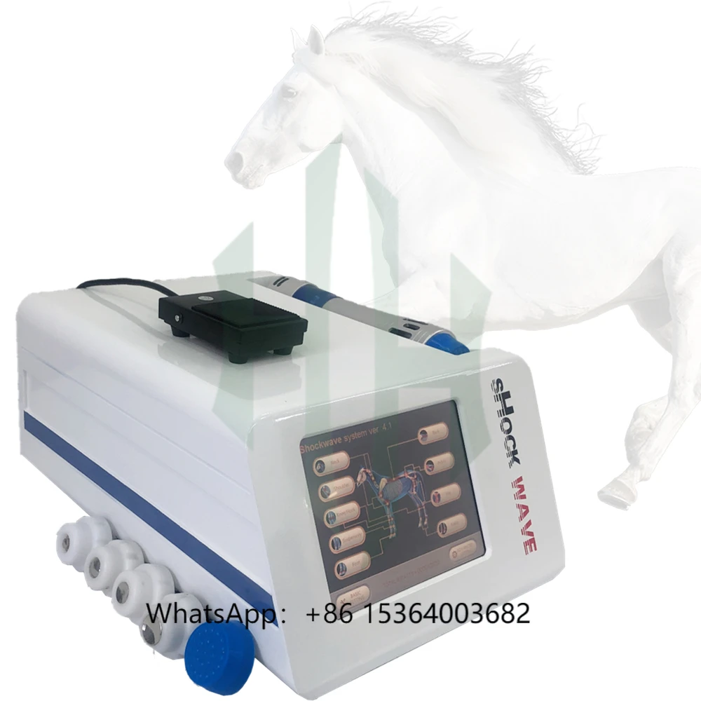 

Extracorporeal Shock Wave Therapy Equipment Equine Shockwave Machine