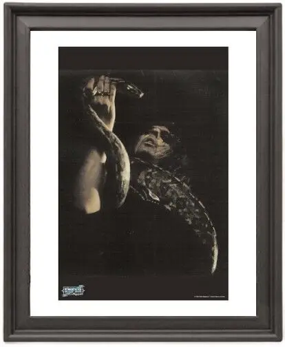 Framed Poster Alice Cooper Snake Picture Frame 16x12 inches Photo Paper Print