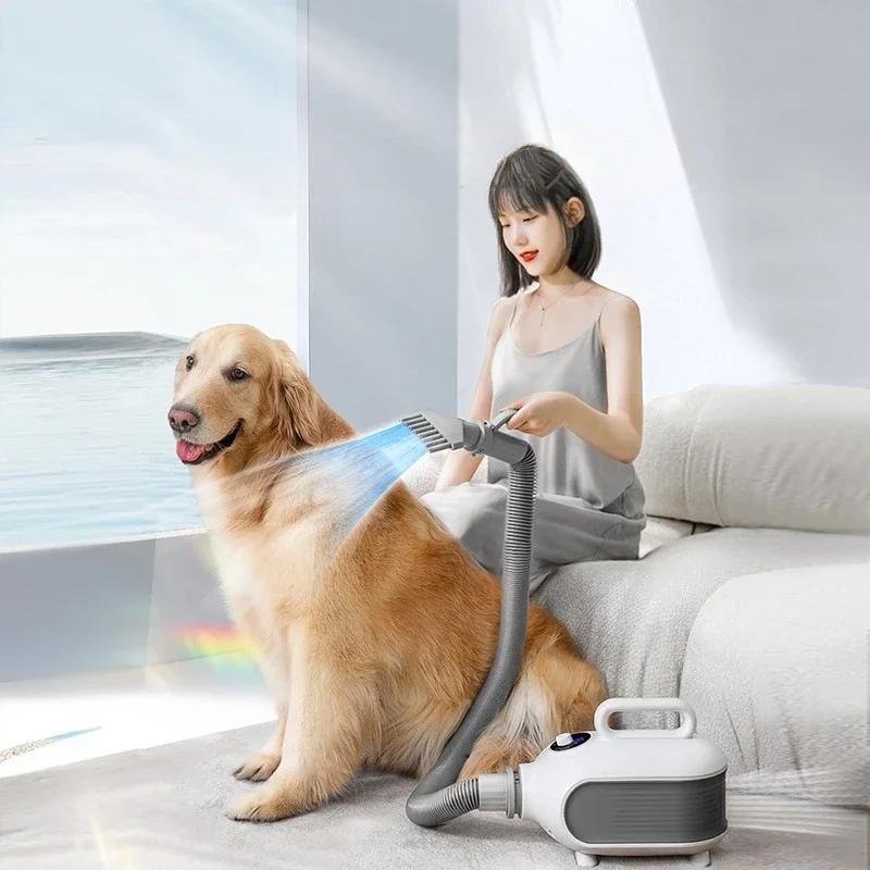 Medium To Large Dog Specific High Power Hair Dryer Golden Retriever Quick Drying Hair Dryer Household Pet Water Dryer