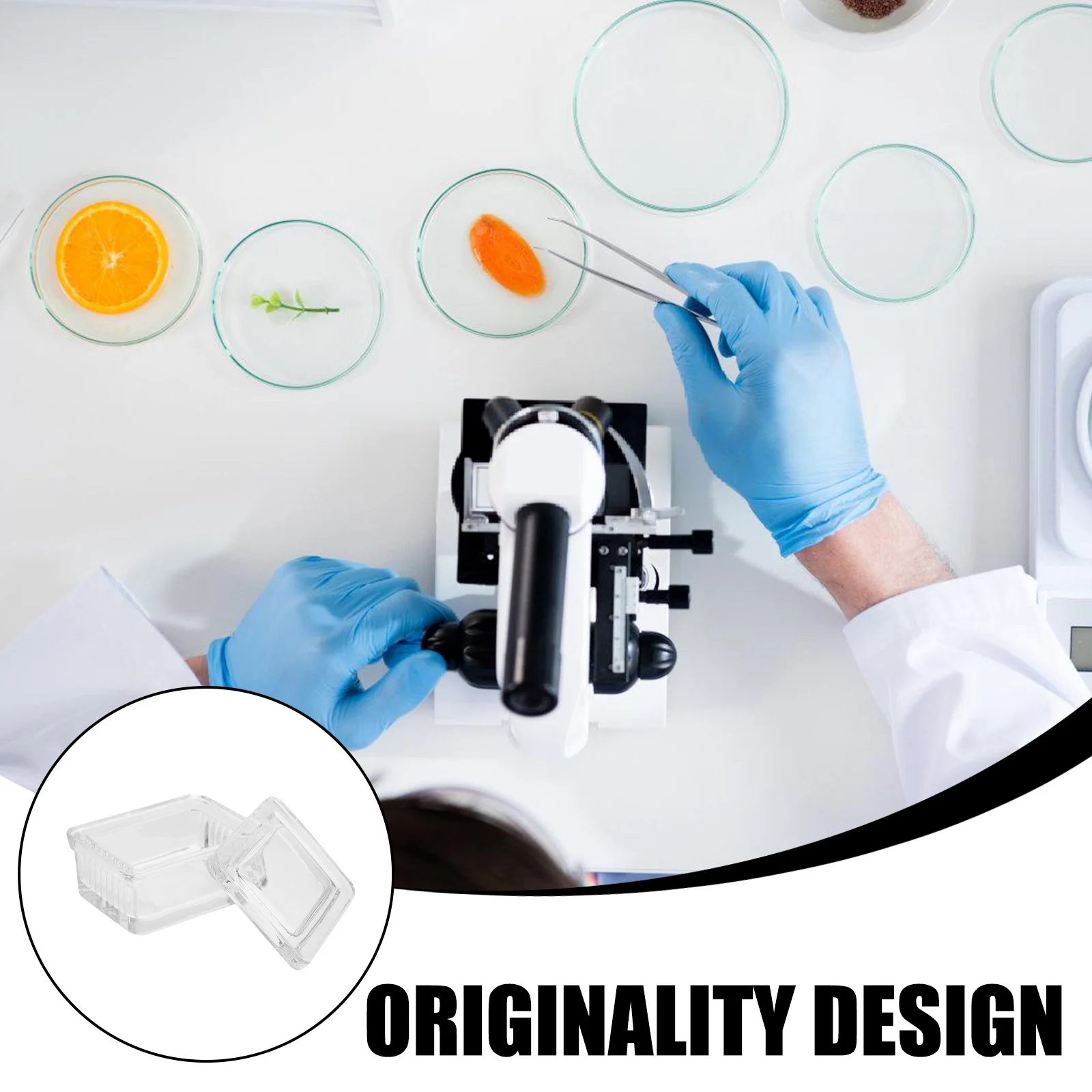 جرة تلطيخ زجاجية ذات 10 شرائح، خزان تلطيخ للمختبر عالي الشفافية وقابل لإعادة الاستخدام لشرائح المجهر الطبي البيولوجي