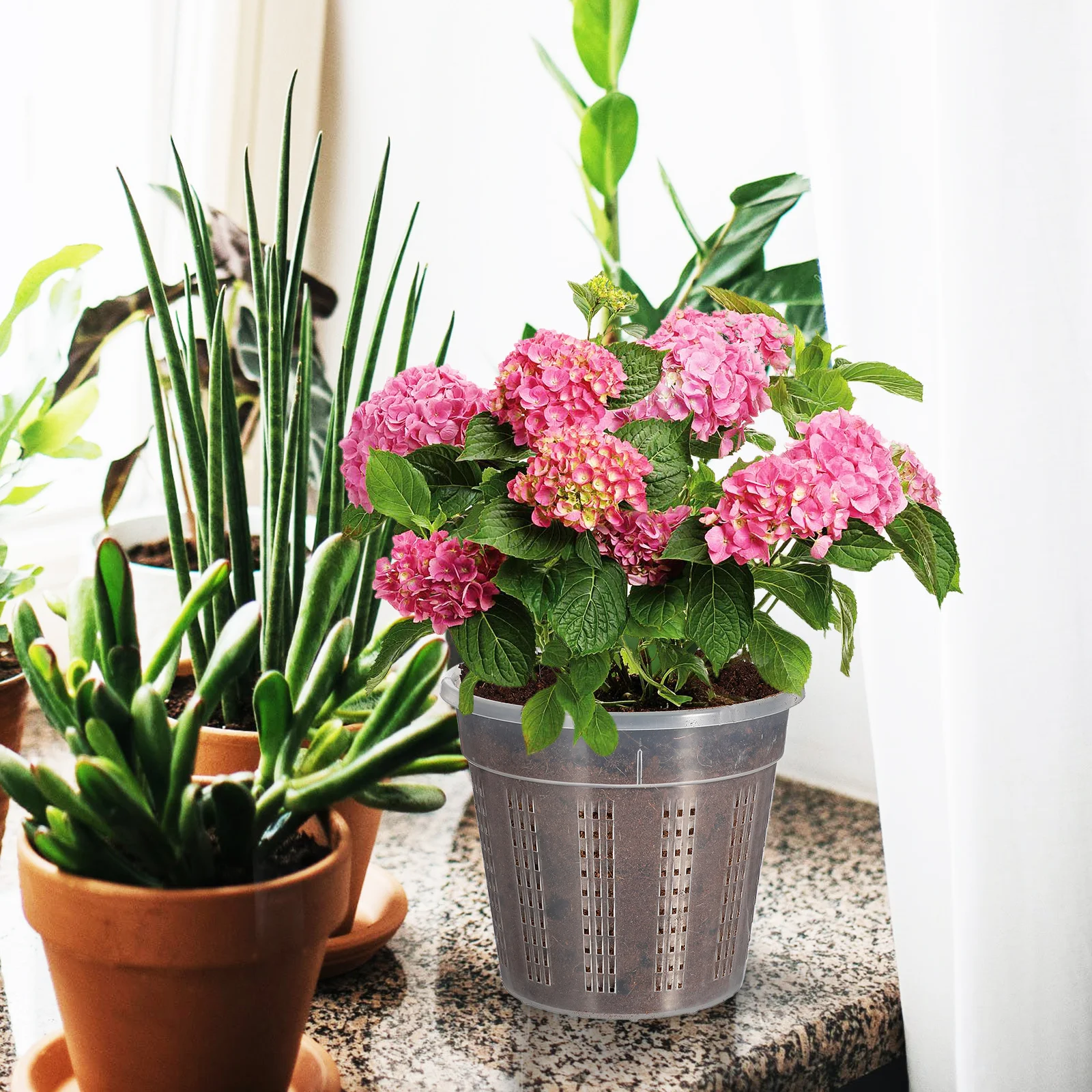 

6Pcs Orchid Pots Transparent Clear Plastic Flower Pots with Drainage Holes for Garden Indoor Plants Nursery Orchid Pot