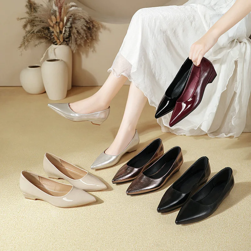 

Black Elegant Thick Heel Comfortable Work Shoes for Women Spring Autumn New Model Pointed Toe Low Heel Fashion Single Shoes