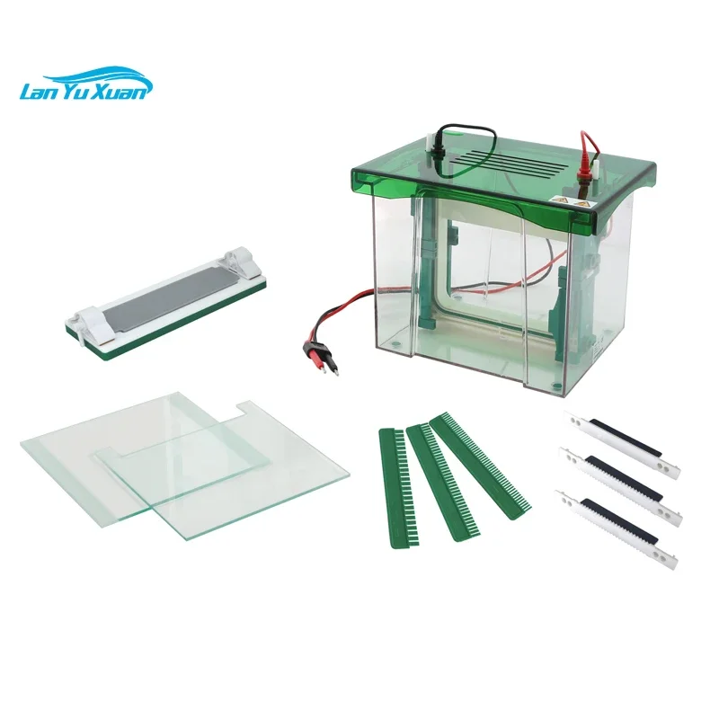 Sistema de tanque de eletroforese vertical SSR rápido