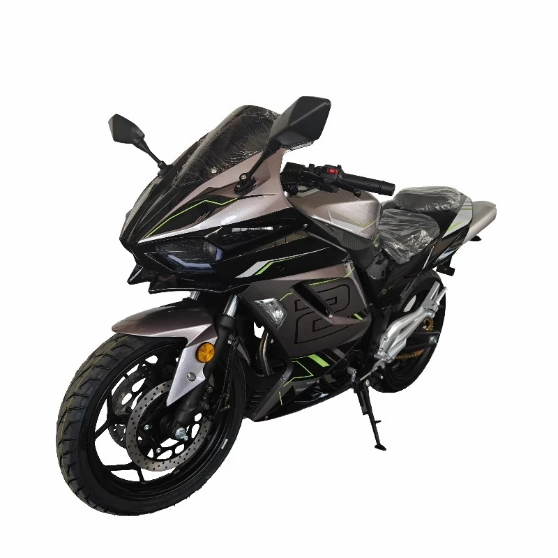 200cc Adult Two-Wheeled Large Displacement   Heavy-Duty Brushless Motor Racing Off-Road Sports Motorcycle 293kg Load 11kW