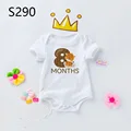 S290-SRPWH-