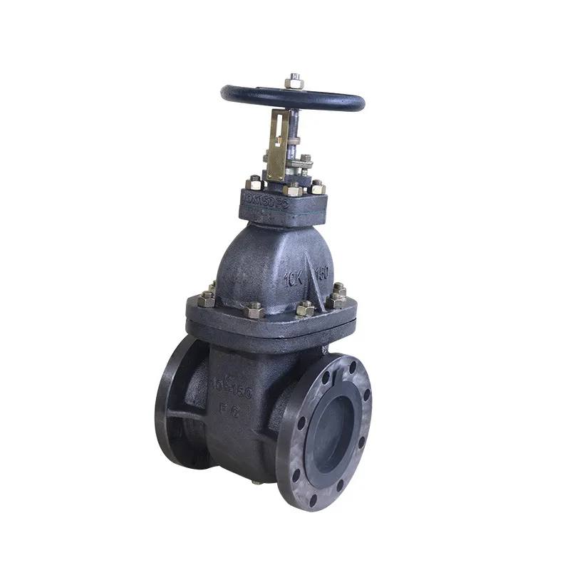 F7364 flange 10K gate valve JIS daily standard marine gate valve manual cast iron marine gate valve