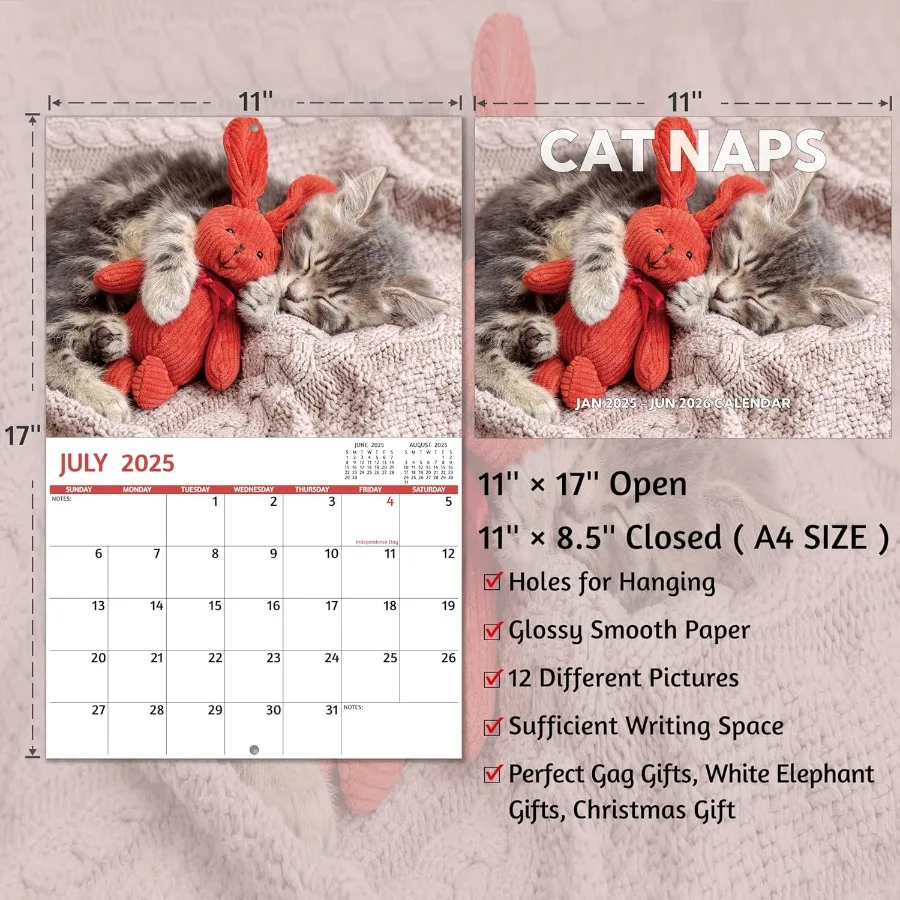 20252026 تقويم Cat ps التقويم 20252026 جدار. يوليو 2025 ديسمبر 2026 11 "× 17" مفتوح 18 شهرًا نائمة القطط تقويم الحائط غير القواعد #6